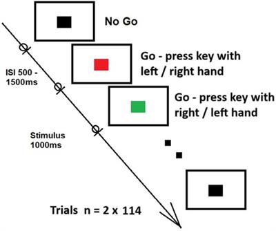 Neural activation patterns in open-skilled and closed-skilled athletes during motor response tasks: insights from ERP analysis